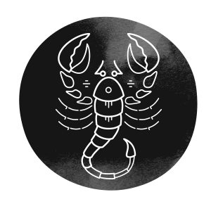 http://www.babaastro.com/wp-content/uploads/2018/02/horoscope_dark_08.png